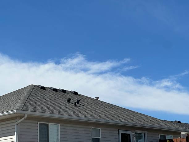 Best Roof Ventilation Installation  in Muniz, TX